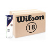 Теннисные мячи Wilson Roland Garros All Court 72 мяча