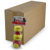 Детские теннисные мячи Wilson Starter Red Ball 72 мяча